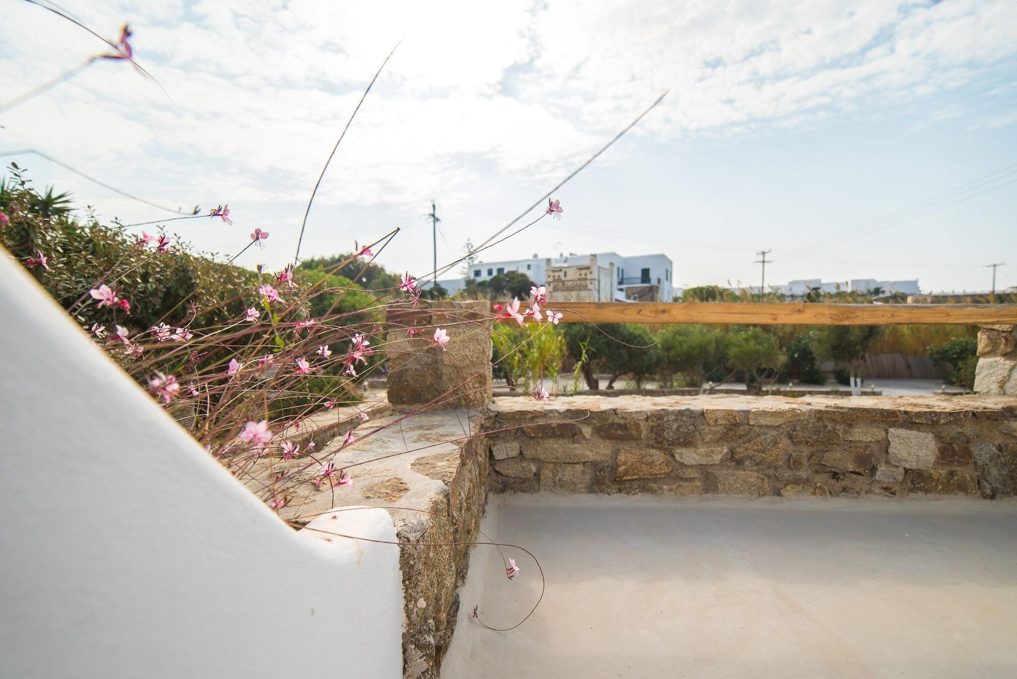 ヴィエノウラズ ガーデン ホテル Mykonos Town エクステリア 写真